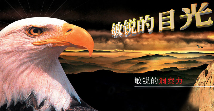 洞察力训练示意图
